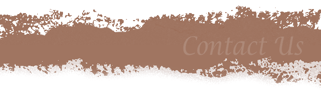 The Interior Touch - Venetian Plaster - Faux Finishes - Dallas Texas