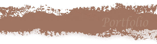 The Interior Touch - Venetian Plaster - Faux Finishes - STL